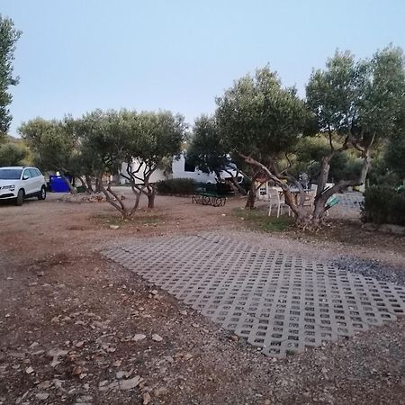 Camp Kopito Hotell Hvar Town Exteriör bild