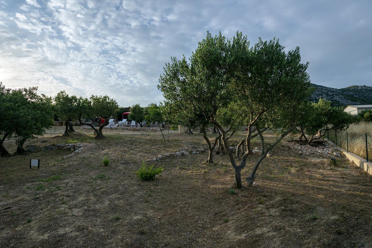 Camp Kopito Hotell Hvar Town Exteriör bild